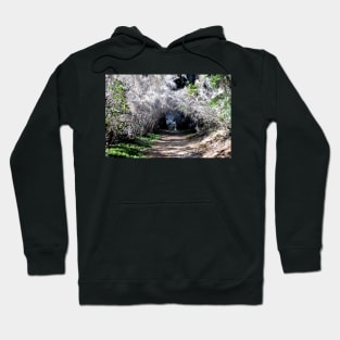 Argentine - San Carlos de Bariloche Hoodie